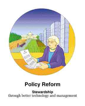 policy reform