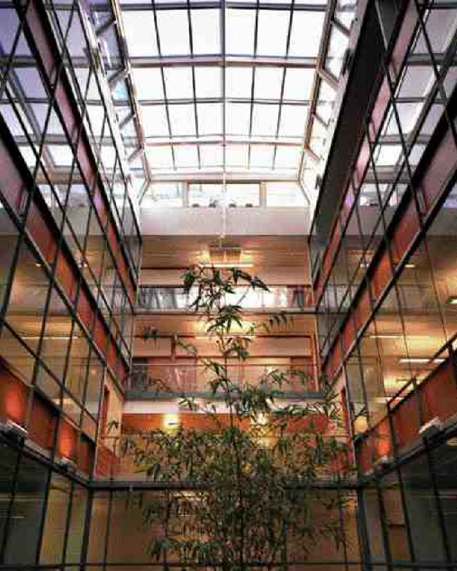 The courtyard atrium acts as a ventilation pool for the building and expels air through opening glass vents at the roof.