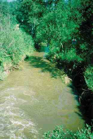 The creek.