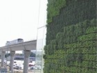 YVR Station living wall.