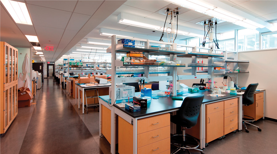 Lab interior. The building incorporates a demonstration "Core Sunlighting System" that collects sunlight in panels mounted on the building exterior. The units concentrate the sunlight and direct it into hybrid light guide fixtures mounted on the ceiling. The system was invented by Professor Lorne Whitehead of UBC with SunCentral.