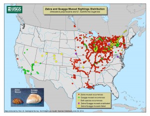 Zebra and Quagga Mussel Sightings Distribution, June 2014. Map of U.S. Geological Survey. http://www.dontmoveamussel.ca/img/mussel-map.jpg