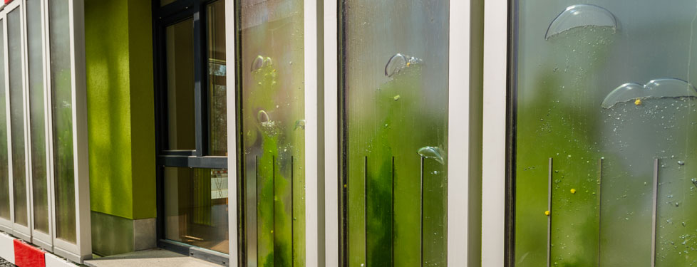 Bi q. "Дом из водорослей", Гамбург, Германия. Фасад с водорослями. Окна из водорослей. Фотобиореакторы на фасаде.