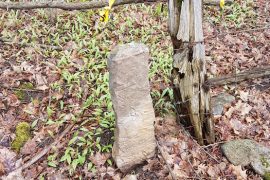 Surveyor's stone marker