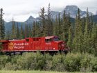 CP fuel cell train