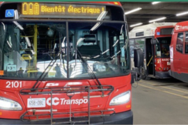 OC Transpo buses
